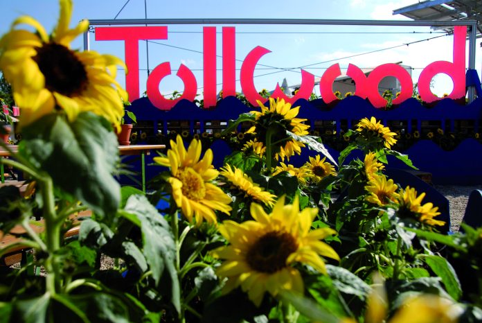 Tollwood Sommerfestival 2023 "Wasser - pures Leben" - Über 500 Veranstaltungen im Olympiapark Süd
