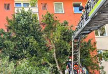 Untergiesing-Harlaching: Baum stürzt auf Mehrfamilienhaus