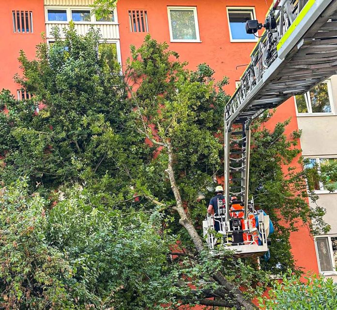 Untergiesing-Harlaching: Baum stürzt auf Mehrfamilienhaus Untergiesing-Harlaching: Baum stürzt auf Mehrfamilienhaus