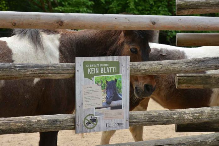 Tierpark Hellabrunn appelliert an die Beachtung der geltenden Tierparkordnung und unterstreicht das Fütterungsverbot