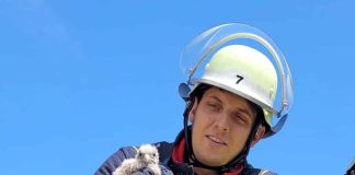 Turmfalkenrettung auf der Feuerwache