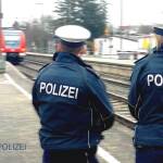 36-Jähriger hantierte in der S-Bahn mit einer Axt und verunsicherte Reisende