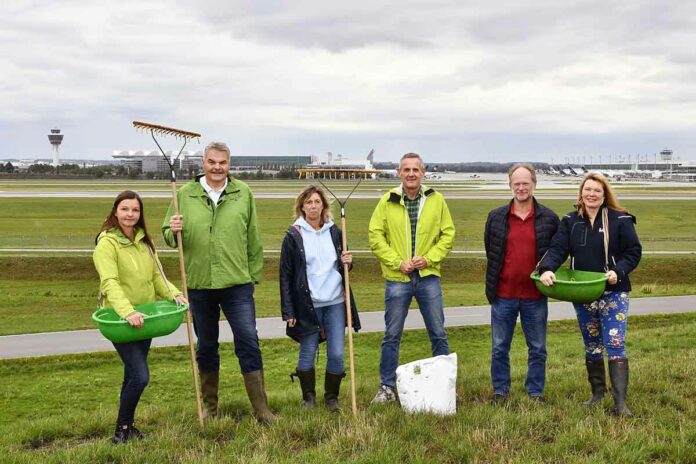 Für mehr Artenvielfalt: Aussaat für Blühwiese am Aussichtshügel Süd am Flughafen München