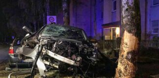 Bogenhausen: 22-jähriger prallt mit Audi gegen Baum