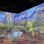 VERLÄNGERUNG MONETS GARTEN bis zum 07. April 2024 | UTOPIA München