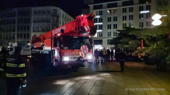 Der Münchner Christbaum wird am 8. November 2023 aufgestellt