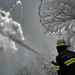 Tierpark Hellabrunn: Feuerwehr befreit Vogelvoliere von Schnee