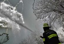 Tierpark Hellabrunn: Feuerwehr befreit Vogelvoliere von Schnee