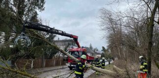 Sturmtief "Zoltan" wollte es noch mal wissen - 233 Unwettereinsätze für Stadt und Landkreis München
