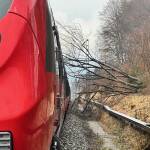 Zug kollidiert mit Baum - Oberleitung setzt Unfallzug unter Strom