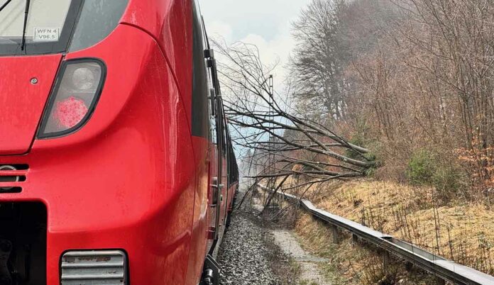 Zug kollidiert mit Baum - Oberleitung setzt Unfallzug unter Strom