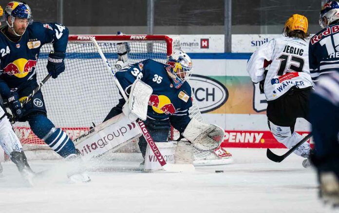 Red Bulls treffen im Halbfinale auf Bremerhaven Red Bulls treffen im Halbfinale auf Bremerhaven