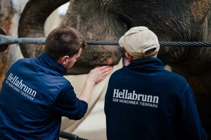 Tierisches Wohlfühlprogramm: Körperpflege für Zootiere Tierisches Wohlfühlprogramm: Körperpflege für Zootiere