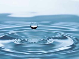 Wassercent: Chance für Trinkwasserschutz - aber bestehende Kooperationen bewahren