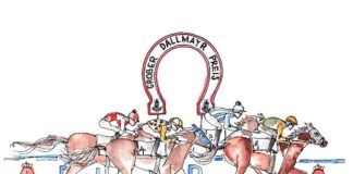 Dallmayr Renntag 2024