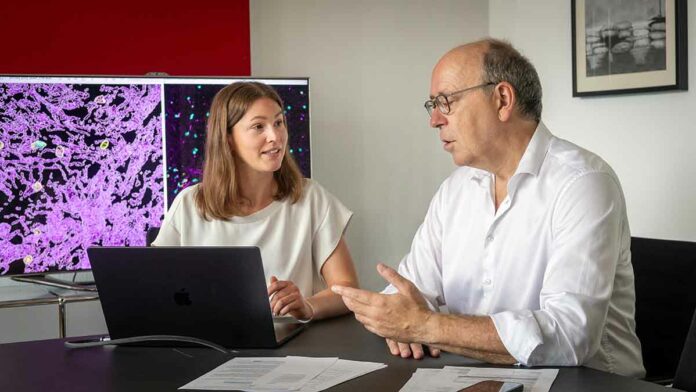 Hepatitis B: „Sleep Timer“ für Immunzellen entdeckt