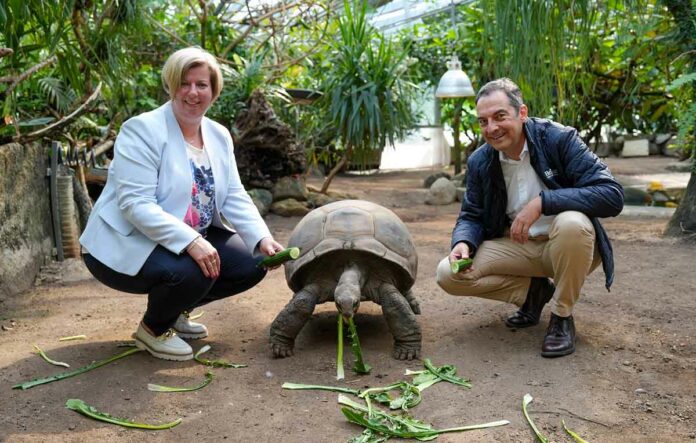 Saubere Wärme für Riesenschildkröten, Elefanten und Gorillas im Tierpark Hellabrunn