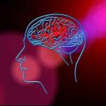 Schlaganfall - Forscher des LMU Klinikums schlagen neue Therapie vor