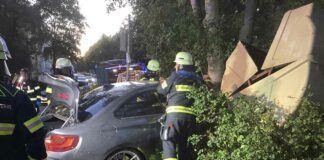 Pkw rammt Wertstoffcontainer