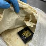 Flughafen München: Zoll verhindert Goldschmuggel – Goldarmreife im Fladenbrot entdeckt Flughafen München: Zoll verhindert Goldschmuggel - Goldarmreife im Fladenbrot entdeckt