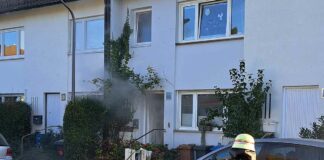 Feuerwehr rettet Katze bei Kellerbrand in Pasing