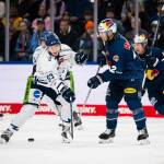 Red Bull München verliert Derby gegen die Straubing Tigers