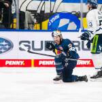 EHC Red Bull München gewinnt Derby gegen die Straubing Tigers