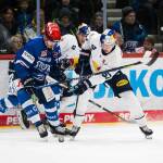 EHC Red Bull München unterliegt Schwenninger Wild Wings