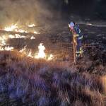 Flächenbrand auf Panzerwiese – Hasenbergl Flächenbrand auf Panzerwiese - Hasenbergl