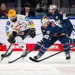 Red Bull München holt einen Zähler im Topspiel gegen Bremerhaven – Rekordspieler Kastner zieht mit Boyle gleich