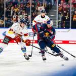 Red Bull München unterliegt der Düsseldorfer EG