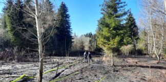 Grasfläche in Flammen - Waldperlach