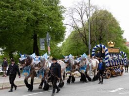 Frühlingsfest 2025 startet mit Freibier, Blasmusik und Festumzug