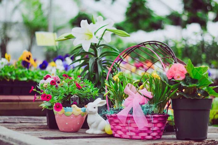 Ostern: Wenn die Blumen welk sind und die Schokolade schmilzt Ostern: Wenn die Blumen welk sind und die Schokolade schmilzt