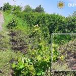 Zigarette löste Böschungsbrand aus - Bundespolizei warnt vor unachtsamen Verhalten