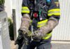 Feuerwehr fängt Schlange ein