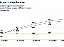 Hitze im Fahrzeug: Lebensgefahr für Kinder und Haustiere
