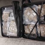 Flughafen München - 70 Kilogramm Marihuana im Reisegepäck