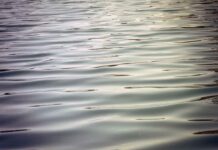 Badespaß für alle - barrierefreier Zugang am Feldmochinger See