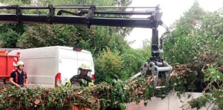 Schweres Gerät muss her - Baum kracht auf Kleintransporter