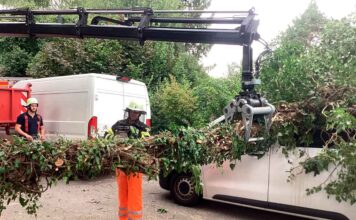 Schweres Gerät muss her - Baum kracht auf Kleintransporter