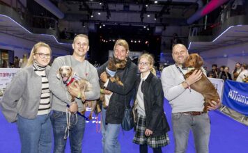 DackelRace 2025 - Luitpold holt erneut den Titel als schnellster Dackel Münchens und stellt neuen Weltrekord auf