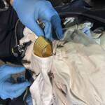 Zollkontrollen bei Urlaubsrückkehrern – Schmuggelversuche aufgedeckt – Reisetipps vom Zoll für Ihre Herbstreise Zollkontrollen bei Urlaubsrückkehrern - Schmuggelversuche aufgedeckt - Reisetipps vom Zoll für Ihre Herbstreise