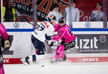 Red Bull München muss sich den Grizzlys Wolfsburg geschlagen geben Red Bull München muss sich den Grizzlys Wolfsburg geschlagen geben