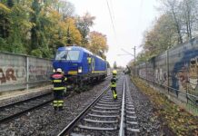 Regionalzug kollidiert mit Baum – Giesing Regionalzug kollidiert mit Baum - Giesing