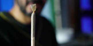 Urteil: Verbot des Cannabiskonsums im gesamten Englischen Garten ist unwirksam