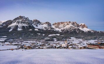 Münchens Christbaum 2025 stammt aus Ellmau am Wilden Kaiser