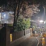 Zwei Carports in Brand - Solln