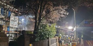 Zwei Carports in Brand - Solln