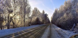 Mobilität zur Weihnachtszeit: Auto bleibt auch an Weihnachten die klare Nummer eins
